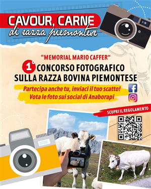 1° Concorso fotografico sulla razza Bovina Piemontese