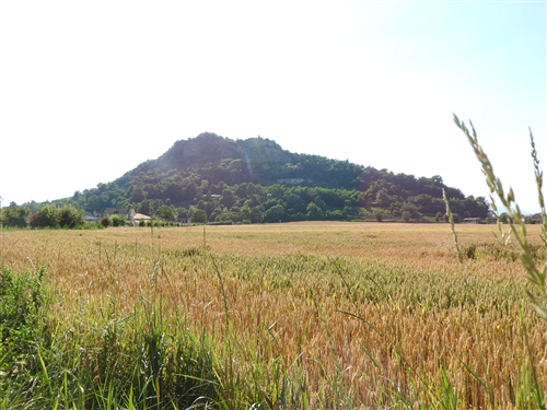 Pasqua e Pasquetta  a Cavour
